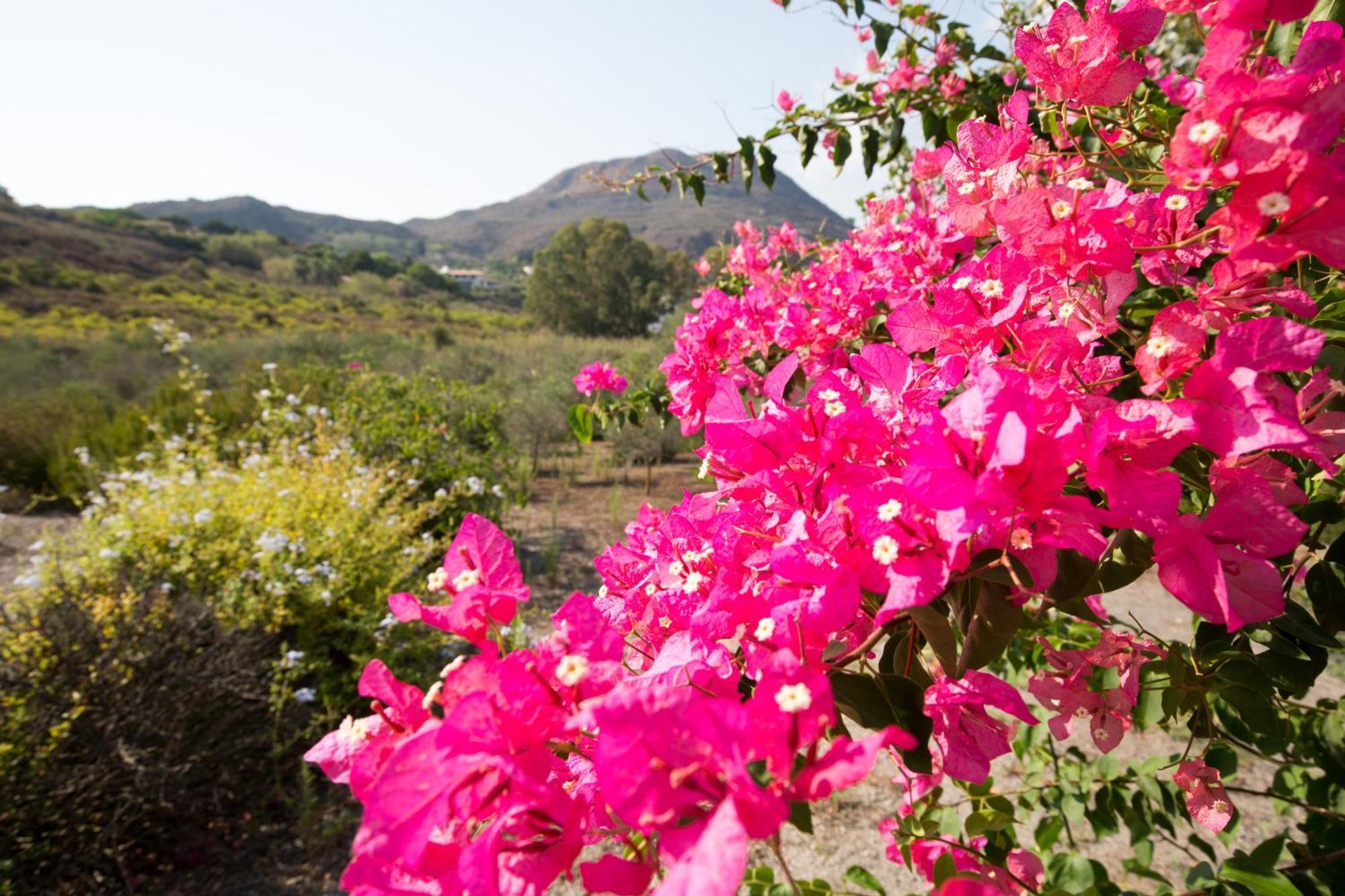 Sealight Villa Lipari - Vista E Piscina 外观 照片